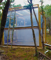 Land Art By Dapacu Artist, Austin Texas